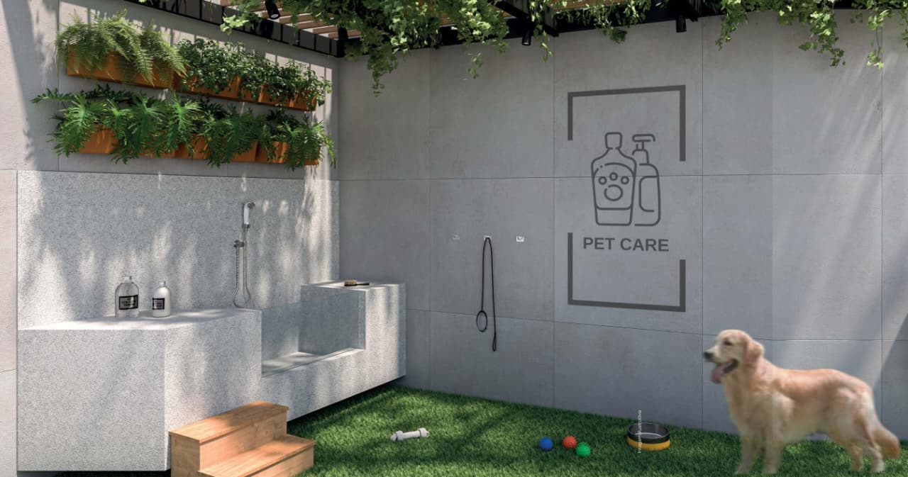 Planta Ornato Tijuca