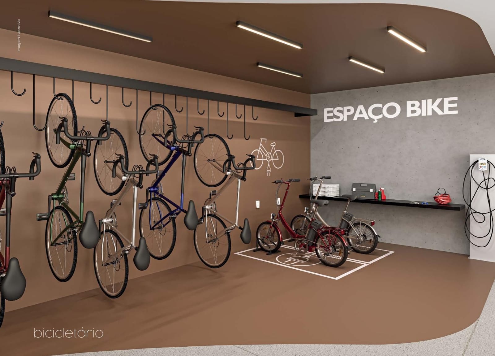 Planta Ornato Tijuca